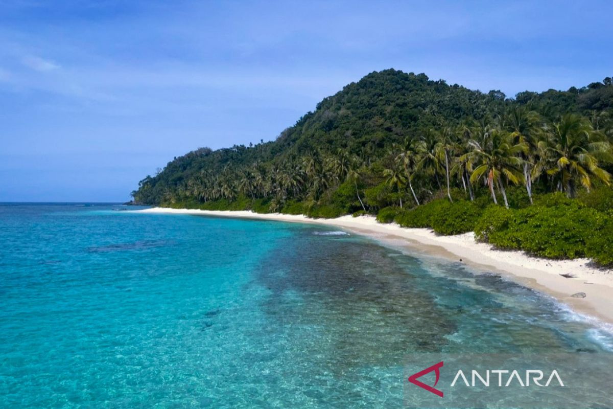 Pulau Senua pusat konservasi penyu dan wisata edukasi di Natuna