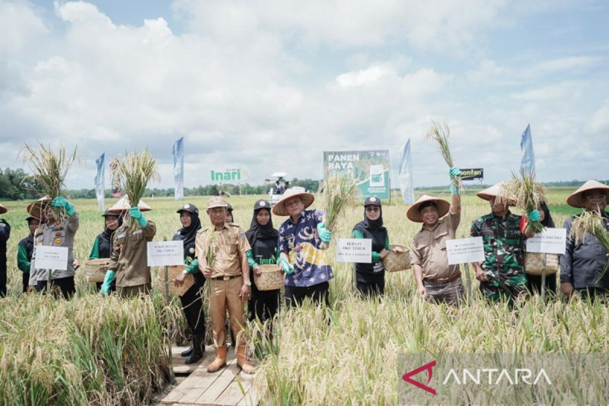 OKU Timur targetkan sejuta ton GKP