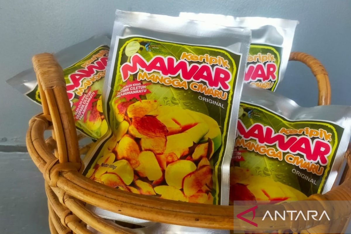 Warga Ciemas olah mangga jadi produk bernilai ekonomi