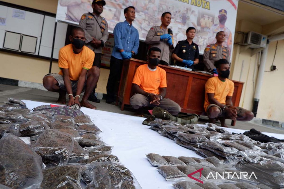 Bawa 11 kg ganja di perbatasan RI-PNG, polisi tangkap tiga warga PNG