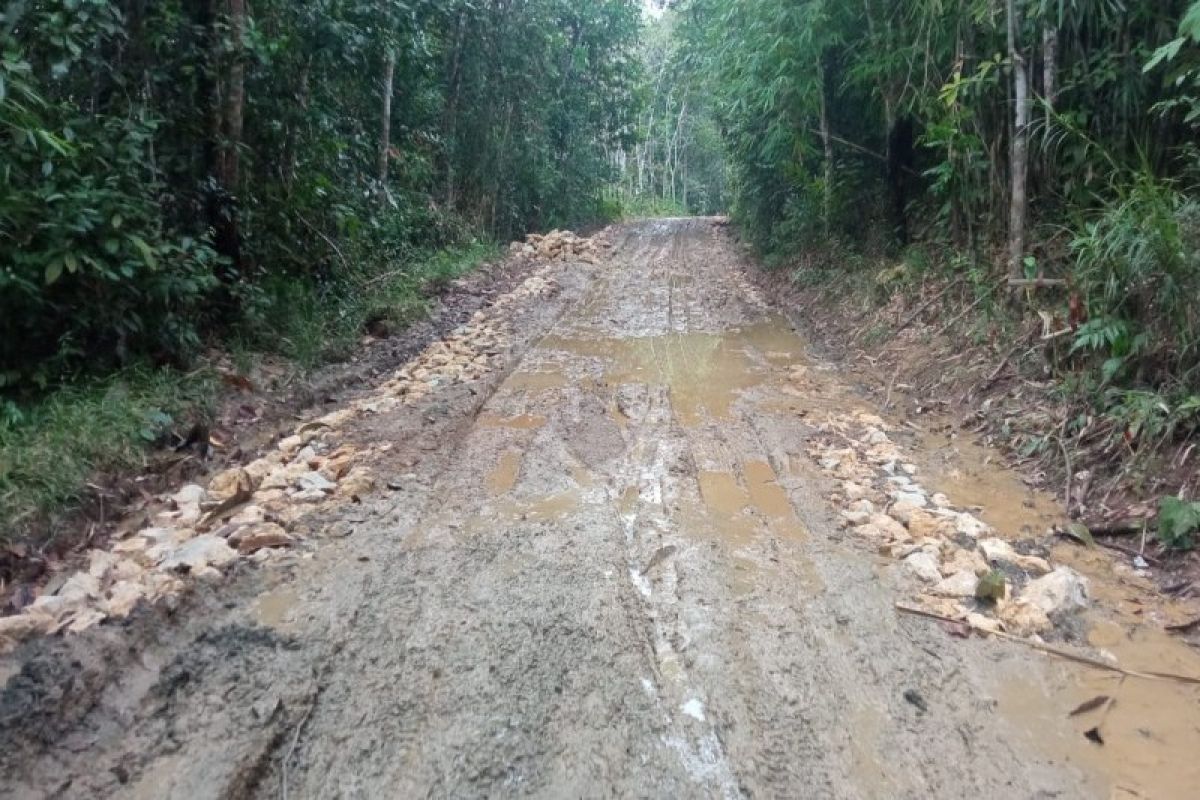 Pemkab Bartim siapkan Rp4,5 miliar tuntaskan Jalan Pulau Padang-Betang Nalong