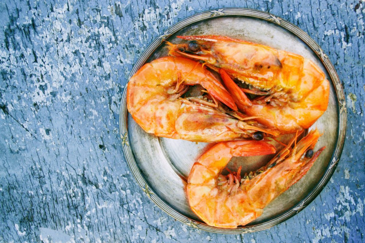 Rajin makan udang bisa membuat awet muda