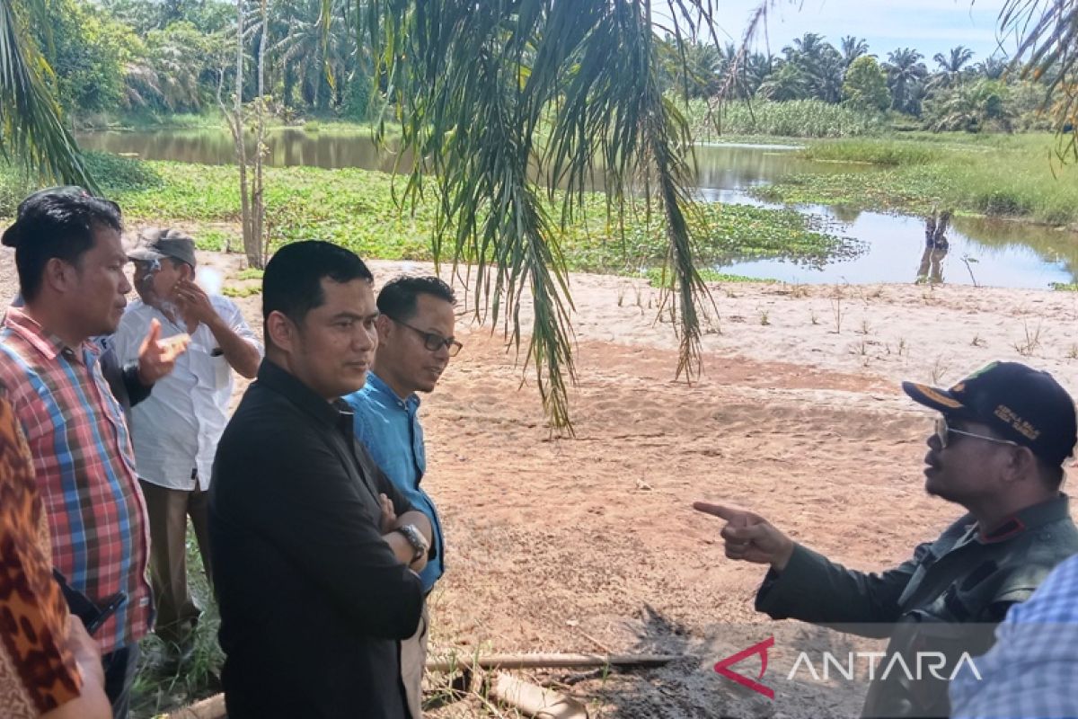 BKSDA Sumbar bikin penangkaran buaya muara di Tiku Lima Jorong Agam (Video)