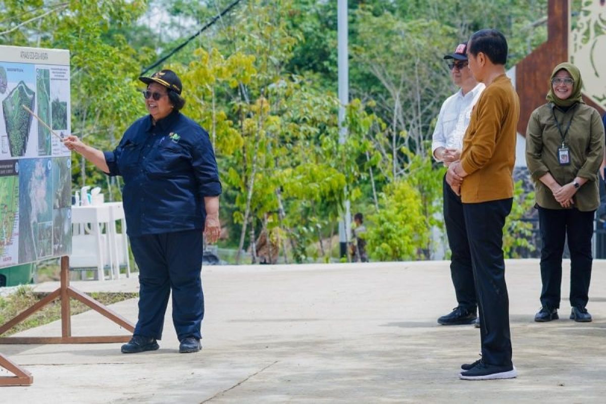 Pemerintah bangun hutan hujan tropis alami di Ibu Kota Nusantara