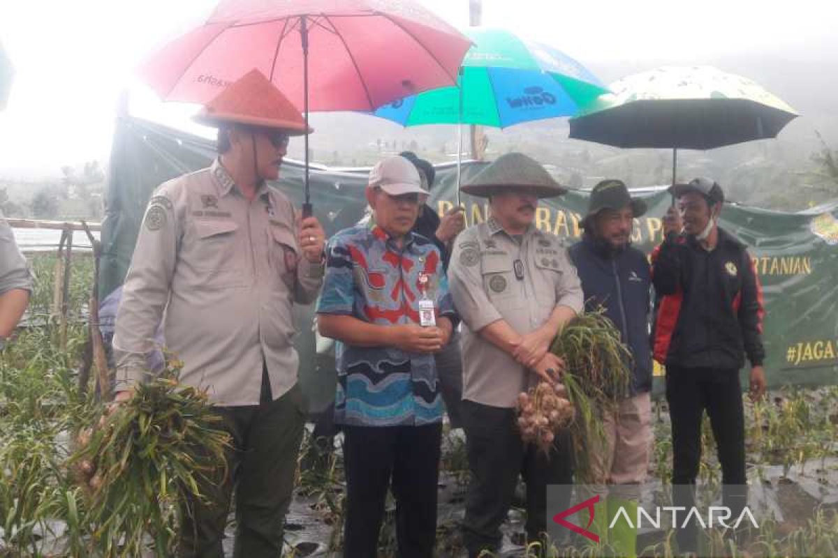 Irjen Kementan pantau ketersediaan bawang putih