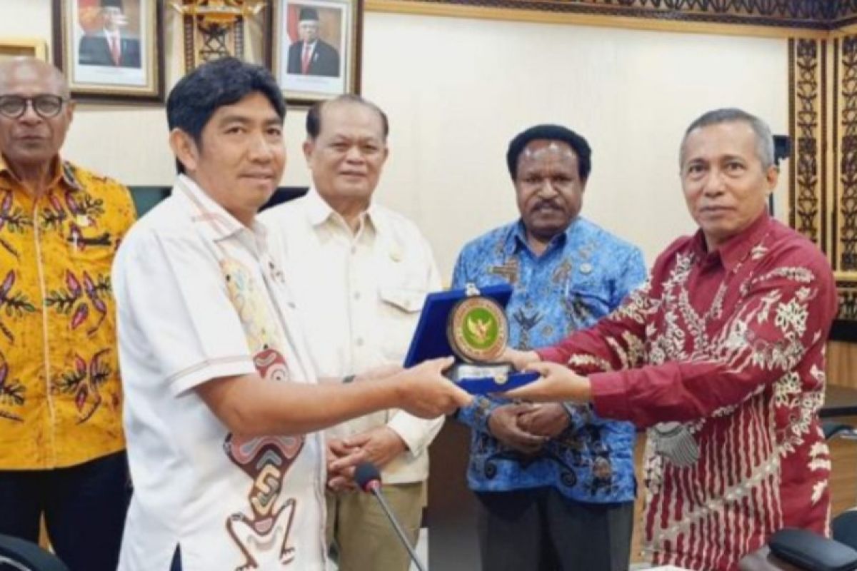 DEN sebut Papua miliki potensi besar pengembangan energi terbarukan