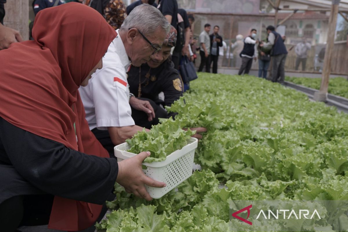 PMI dan eFarming kenalkan "ecoenzyme" tingkatkan hasil pertanian