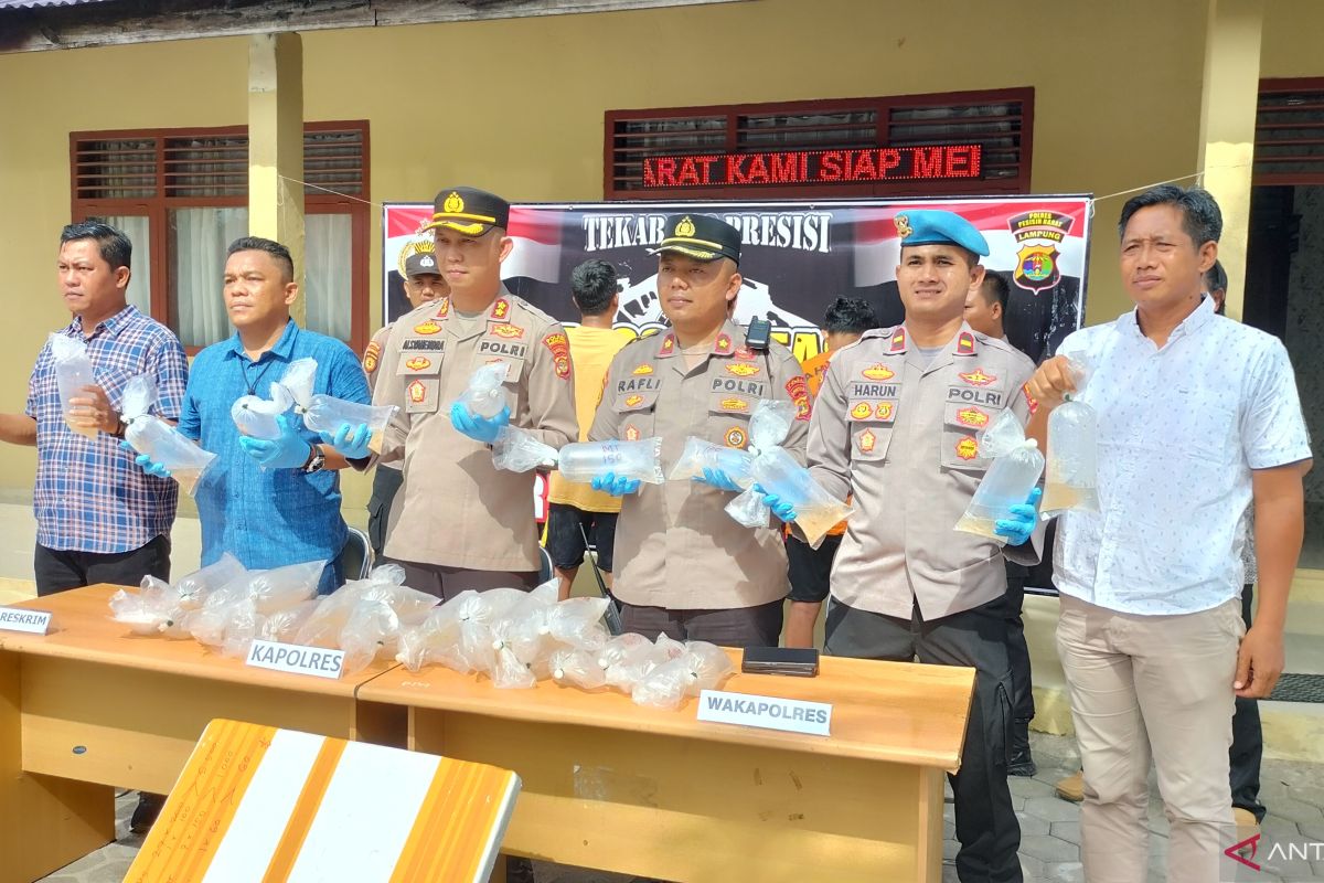 Polisi gagalkan penyelundupan ribuan benur lobster