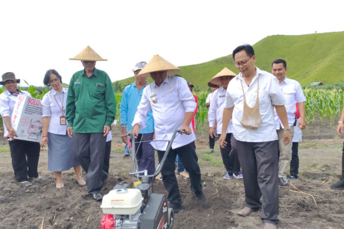 Jayapura luncurkan gerakan tanam cabai dan bawang merah