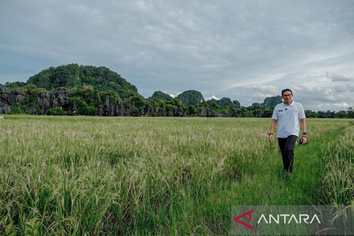 Kemenparekraf buka program pembiayaan desa wisata di Sulsel