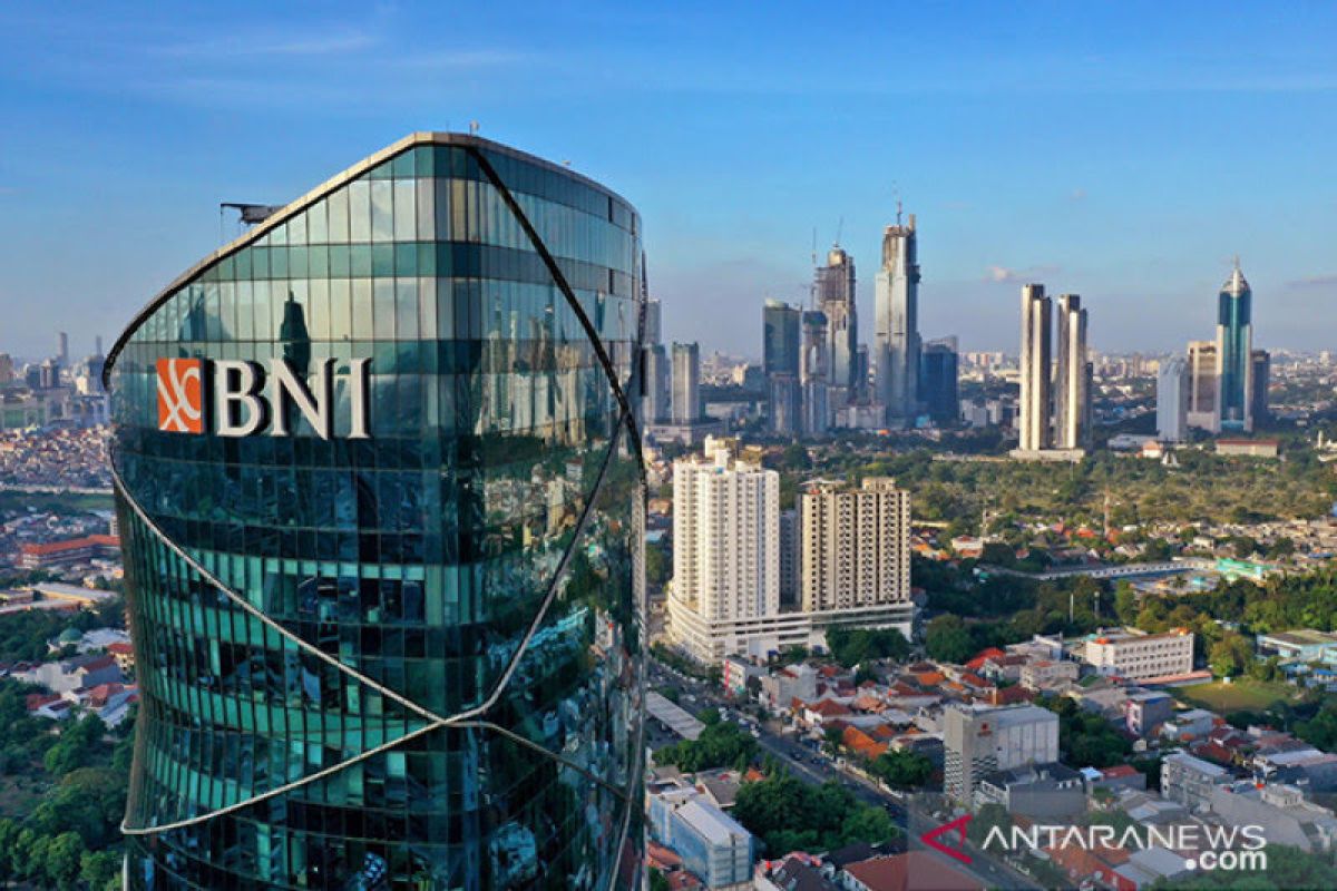 BNI berpeluang kembangkan potensi bisnis di Afrika