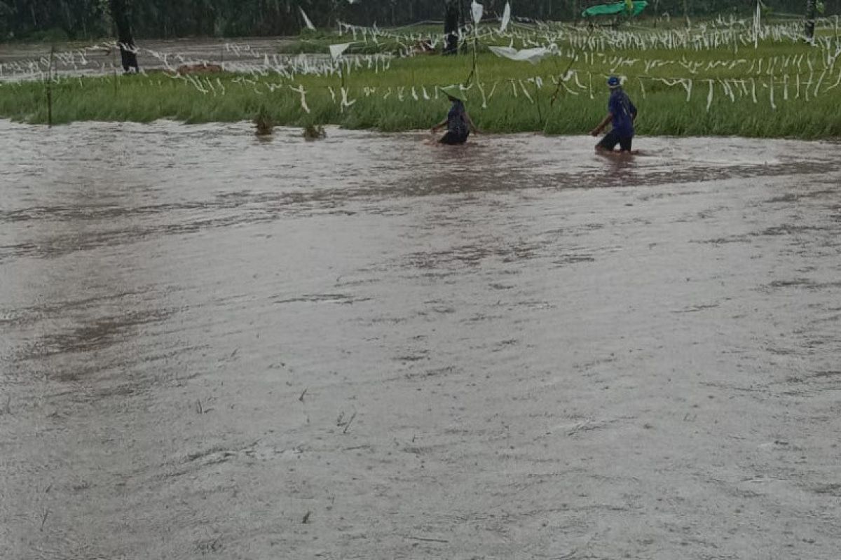 Empat desa di Bima NTB diterjang banjir