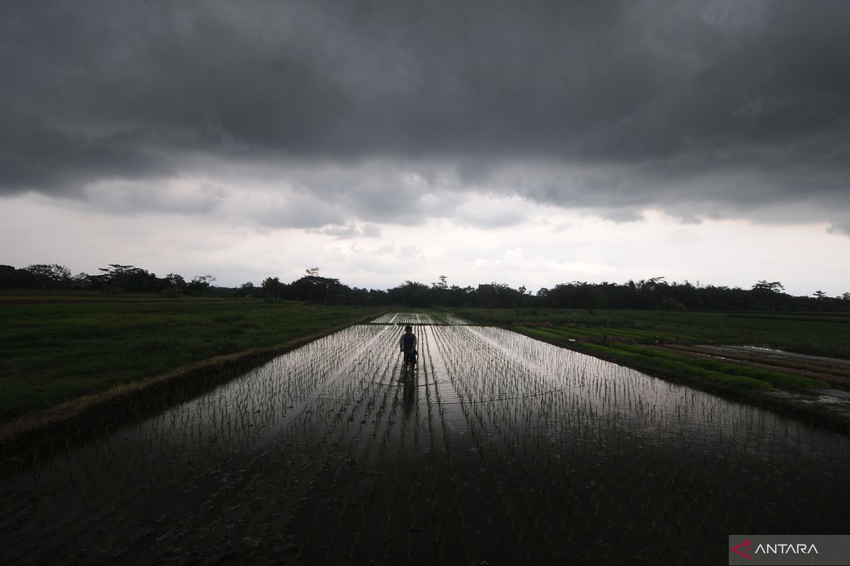 Ini wilayah yang berpotensi diguyur hujan lebat dan angin kencang pada Selasa