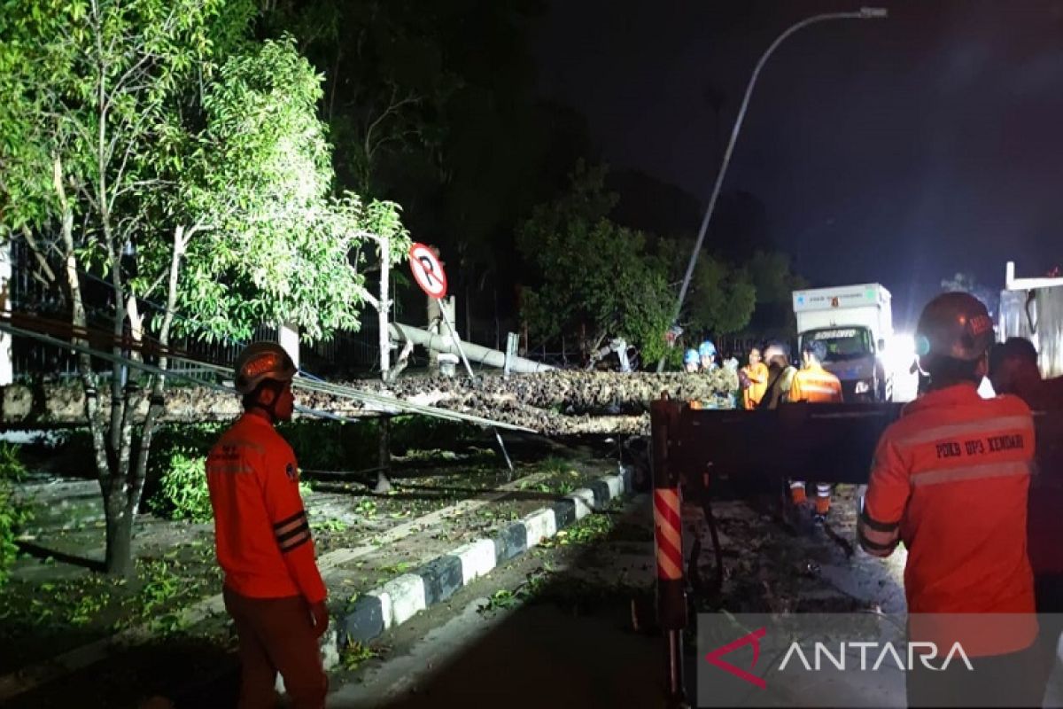 PLN berupaya pulihkan jaringan listrik usai cuaca ekstrem di Kendari