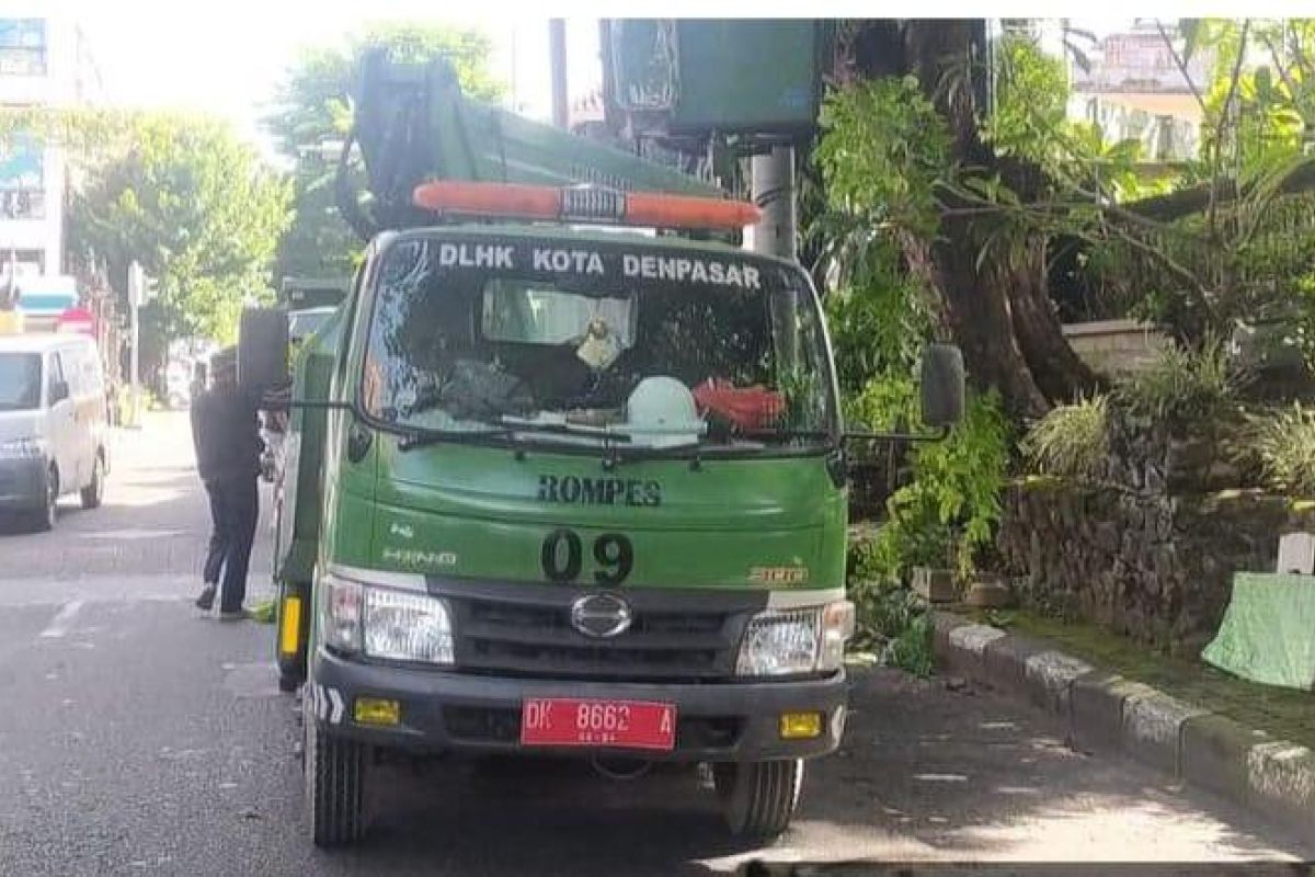 DLHK Kota Denpasar pangkas pohon di jalur parade "ogoh-ogoh"