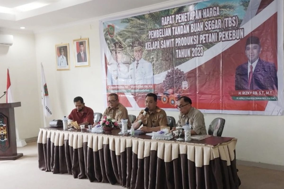 Disbun: Harga TBS kelapa sawit di Kalteng mulai menguat