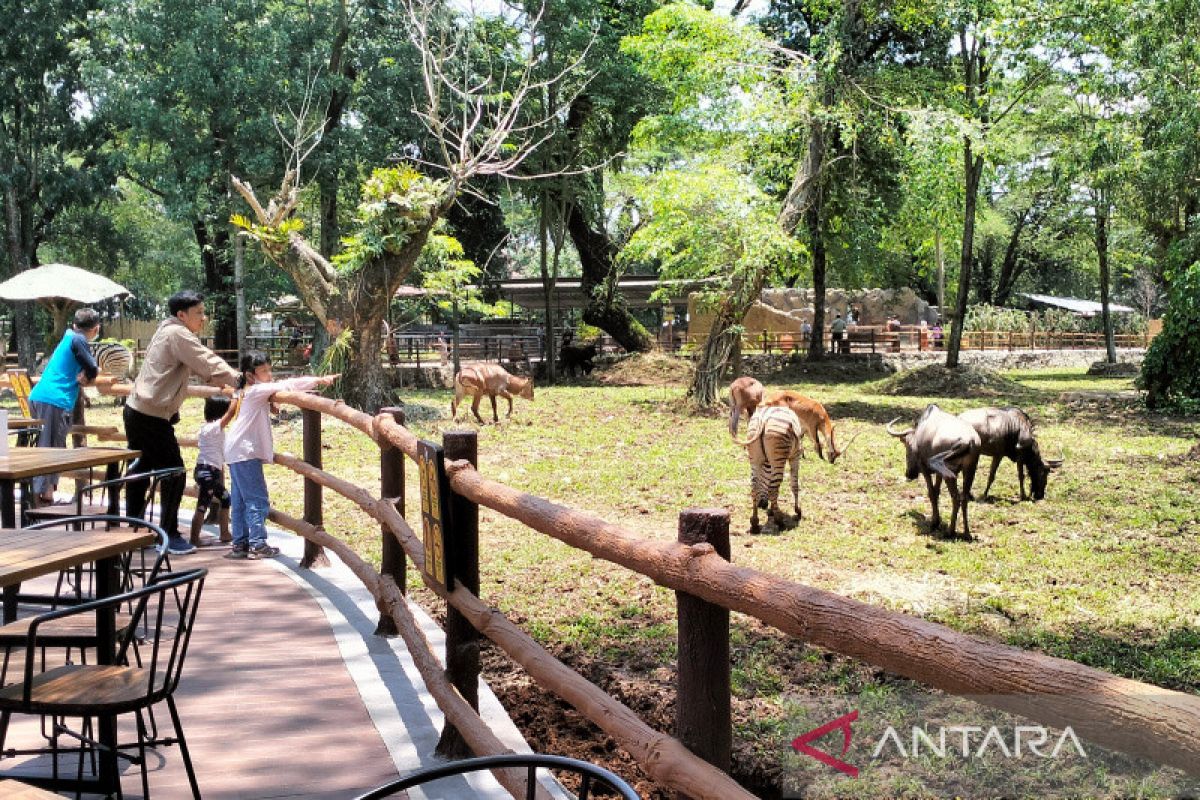 Gibran pastikan pembangunan tahap dua Solo Safari segera dimulai