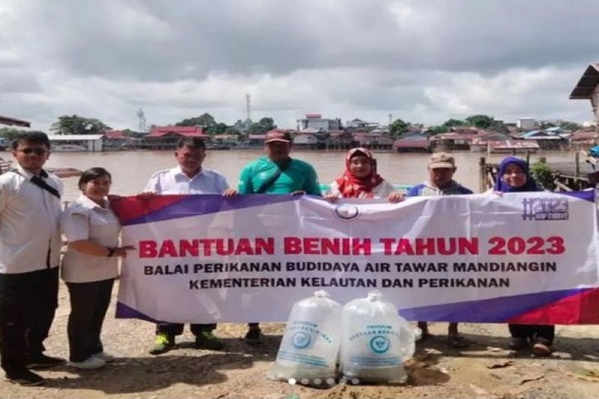 Dinas Perikanan Palangka Raya serahkan 70 ribu bibit ikan untuk Pokdakan