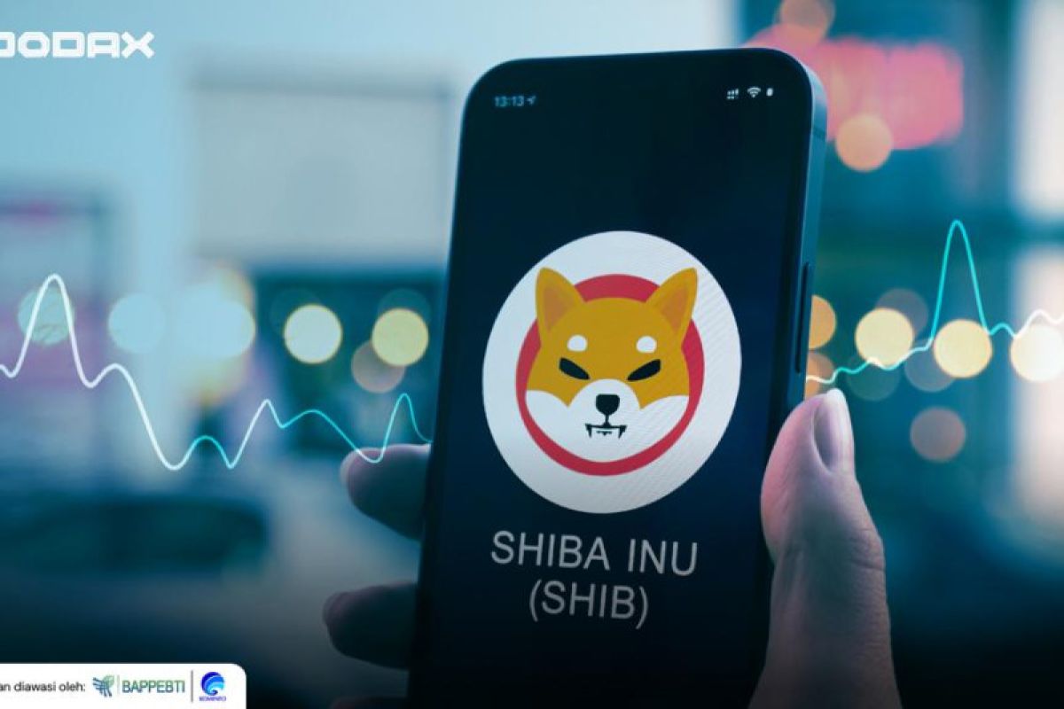 Indodax sebut Shiba Inu merilis jaringan Shibarium