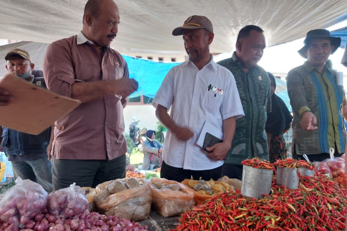 Pemkab Sigi maksimalkan program P2L untuk penyiapan cadangan pangan