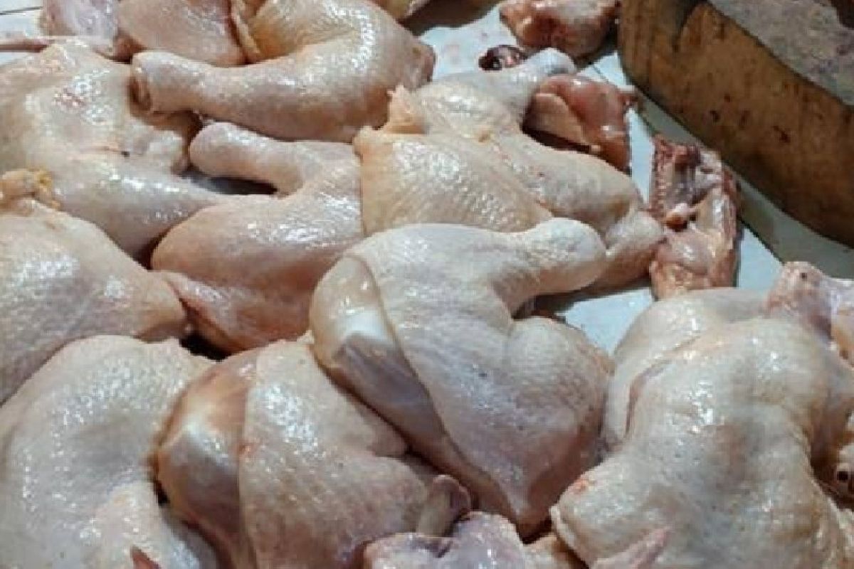 Permintaan meningkat, harga ayam potong  naik jelang Ramadan di Pekanbaru