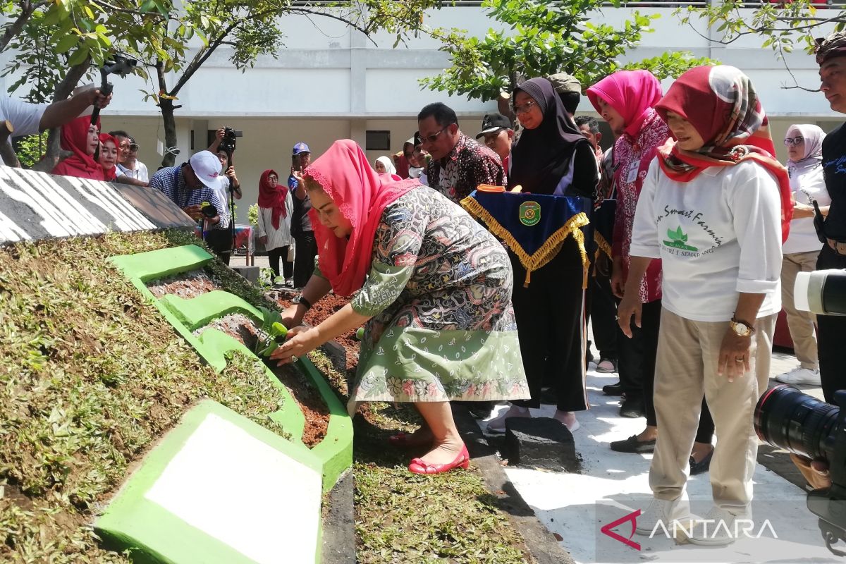 Wali kota: Pertanian perkotaan jadi program prioritas sekolah di Semarang