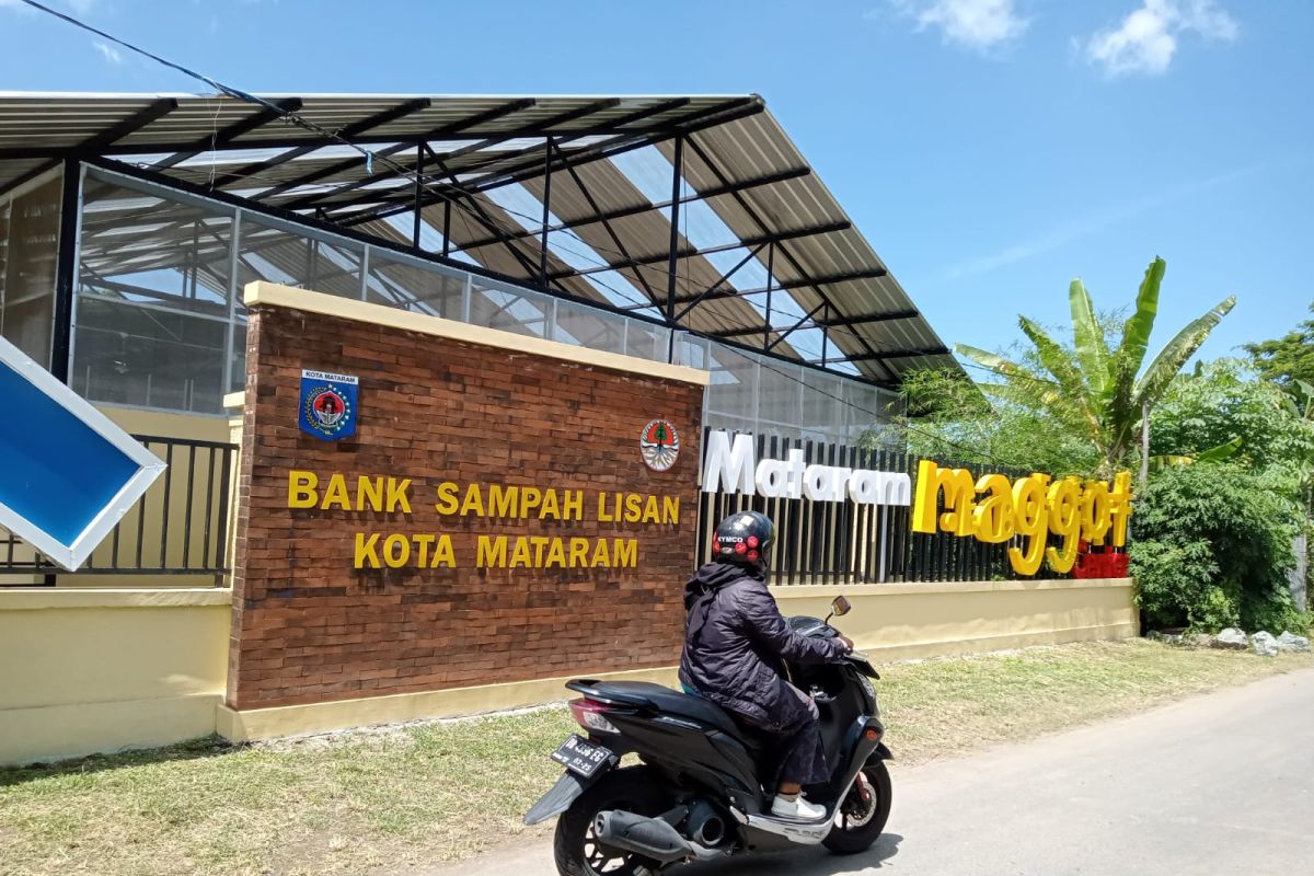 MMC Ampenan NTB jadi pusat pelatihan pengembangan maggot