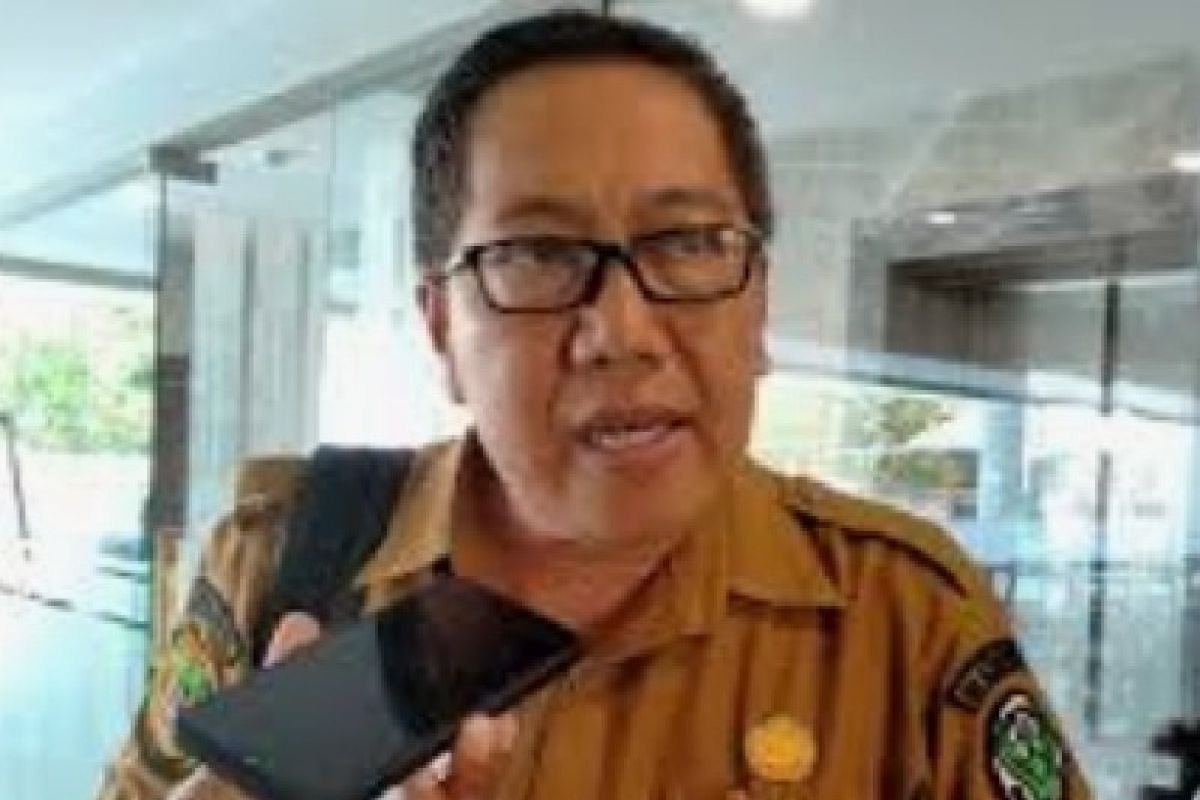 Dinkes Papua Tengah pacu imunisasi atasi merebaknya campak rubella