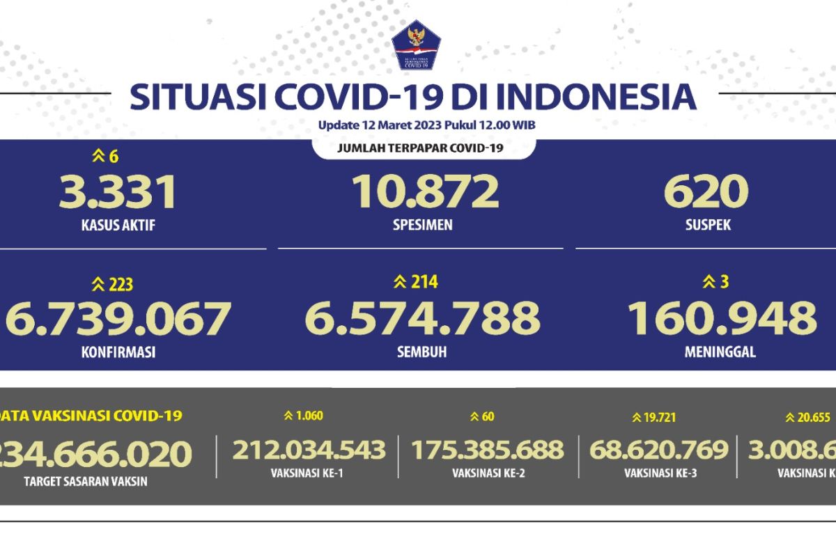 Kasus terkonfirmasi positif COVID-19 bertambah 223 orang