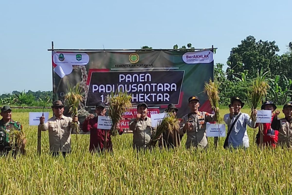 Distan Majalengka pada Maret 18.329 hektare sawah panen