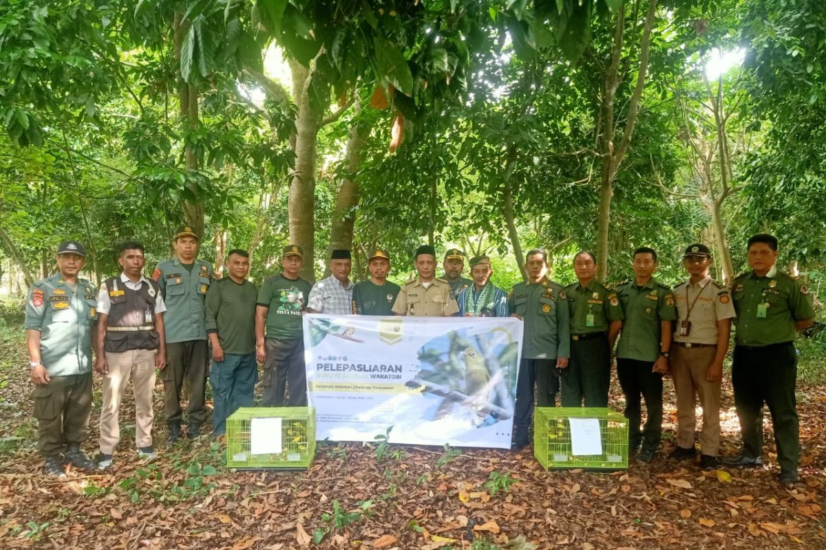 BKSDA Sulawesi Tenggara lepaskan satwa langka asal Wakatobi