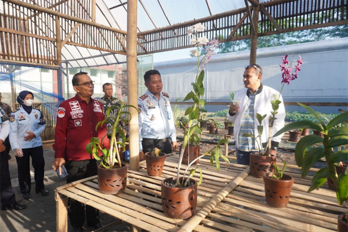 Kunjungi Rutan Boyolali, Wamenkumham tinjau budidaya Anggrek