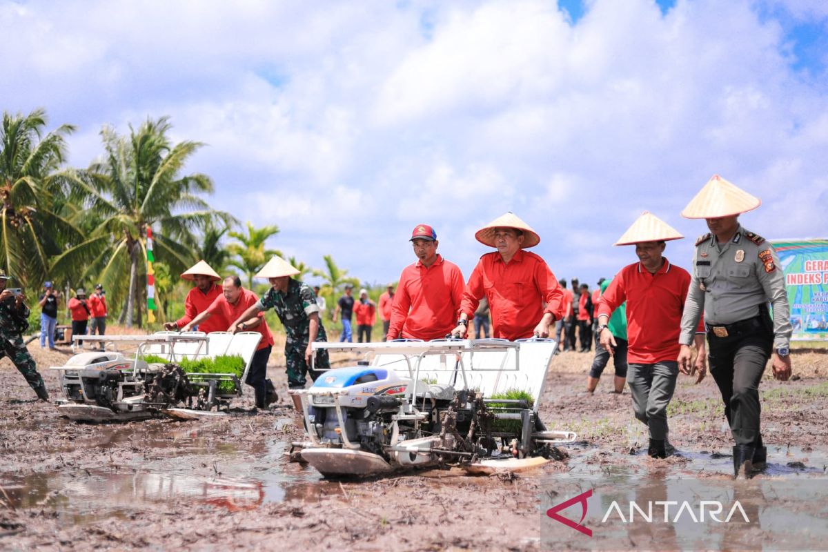 Tanam padi di Kedabu Rapat menuju mandiri pangan