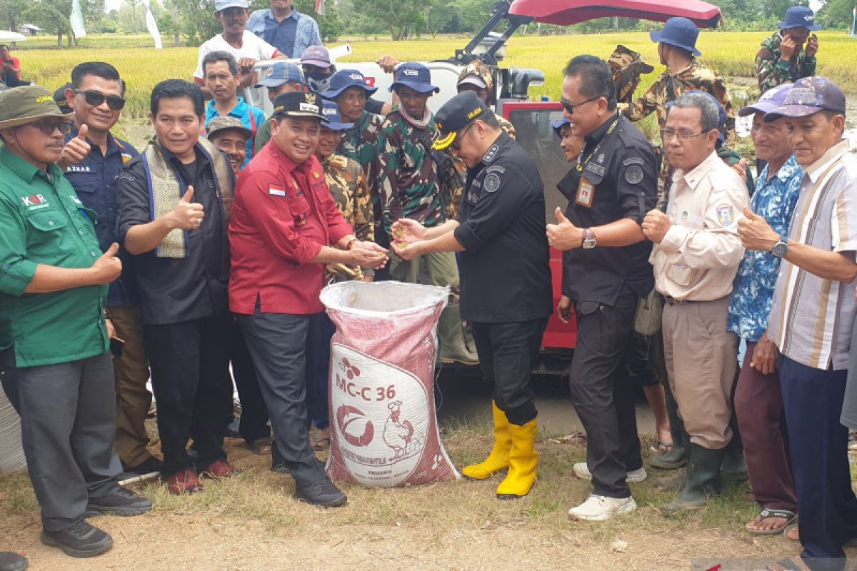 Irjen Kementan dan petani Banyuasin panen raya padi rawa lebak