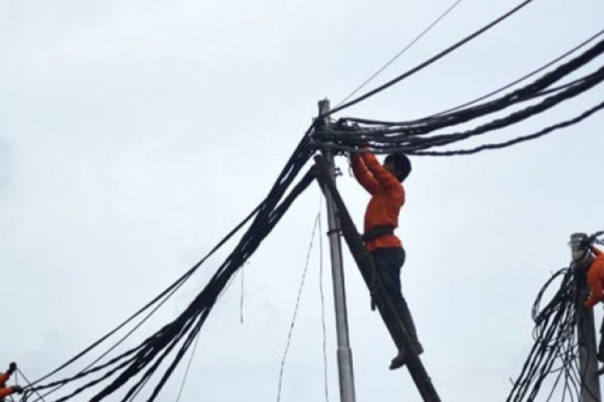 Polisi tangkap empat pelaku pencurian kabel di gudang PLN Pesisir Barat