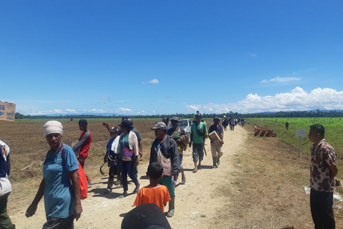 Ratusan warga antusias menyambut Presiden Joko Widodo di lokasi food estate