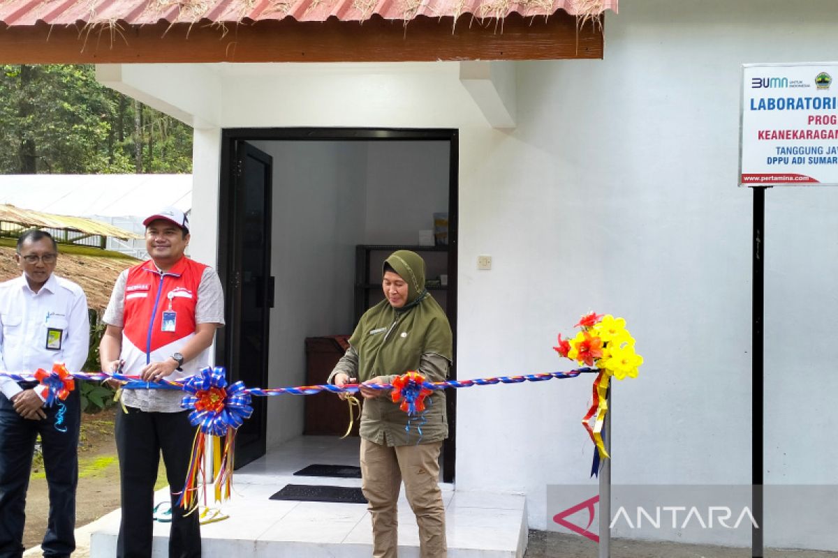 Pertamina gandeng  kelompok tani hutan budidayakan Anggrek Lawu