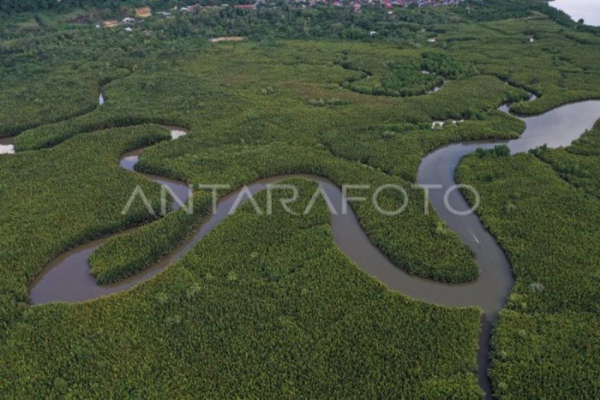 Muara Sungai Lakologou Baubau