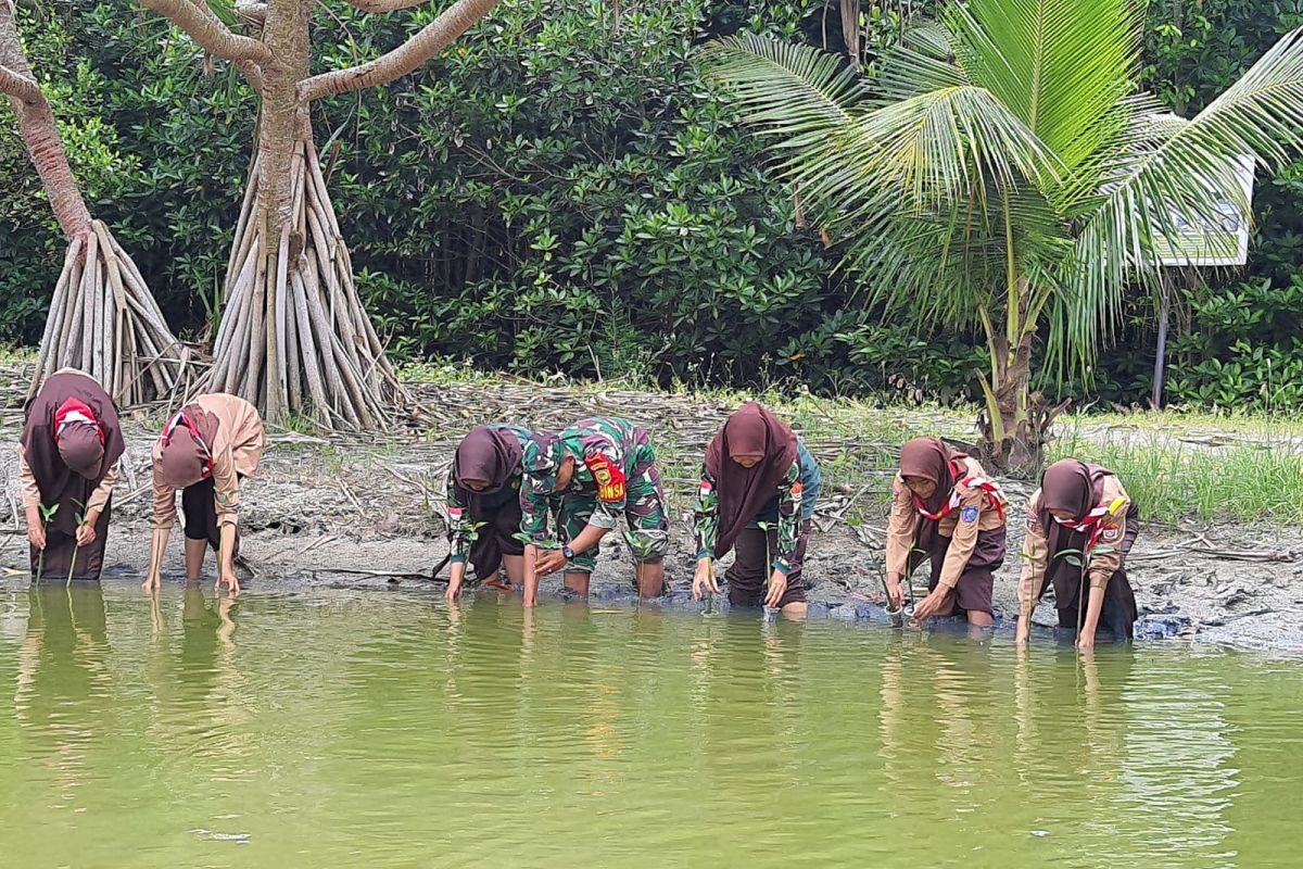 Koramil Labuhan Maringgai tanam bibit pohon mangrove