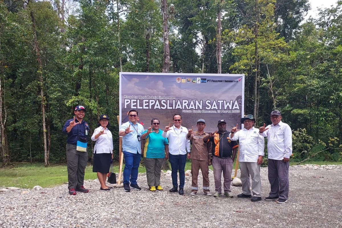 BBKSDA Papua lepasliarkan 20 satwa dilindungi di Hutan Kuala Kencana