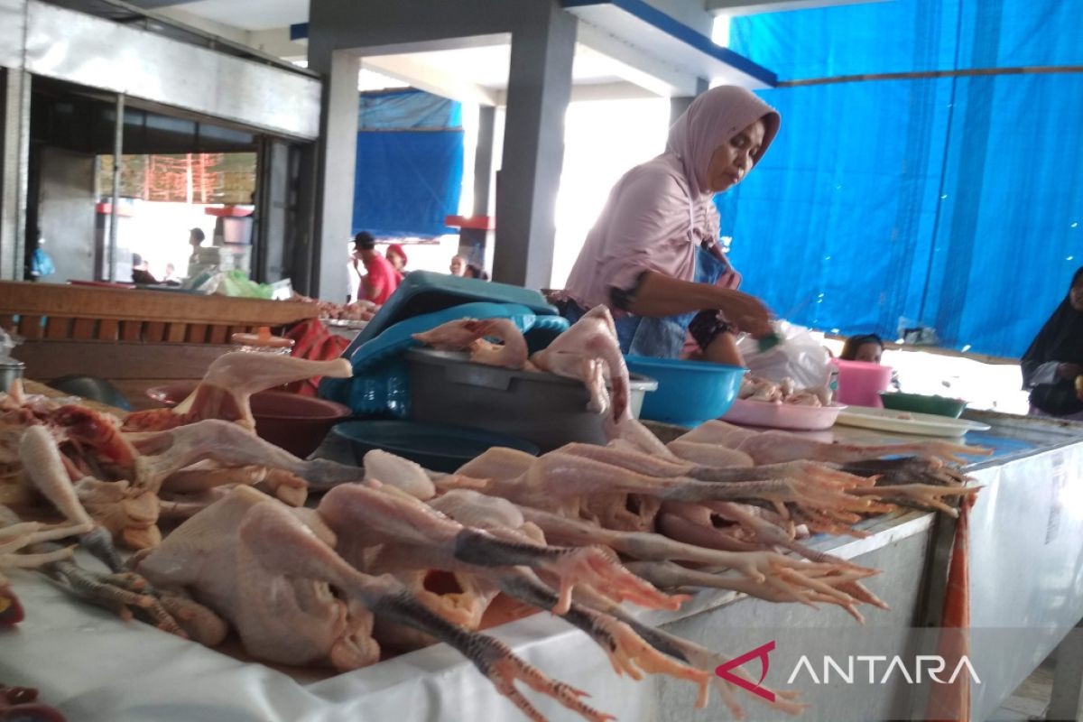 Pemkab Kudus tingkatkan pemantauan produk pangan hewani selama  puasa