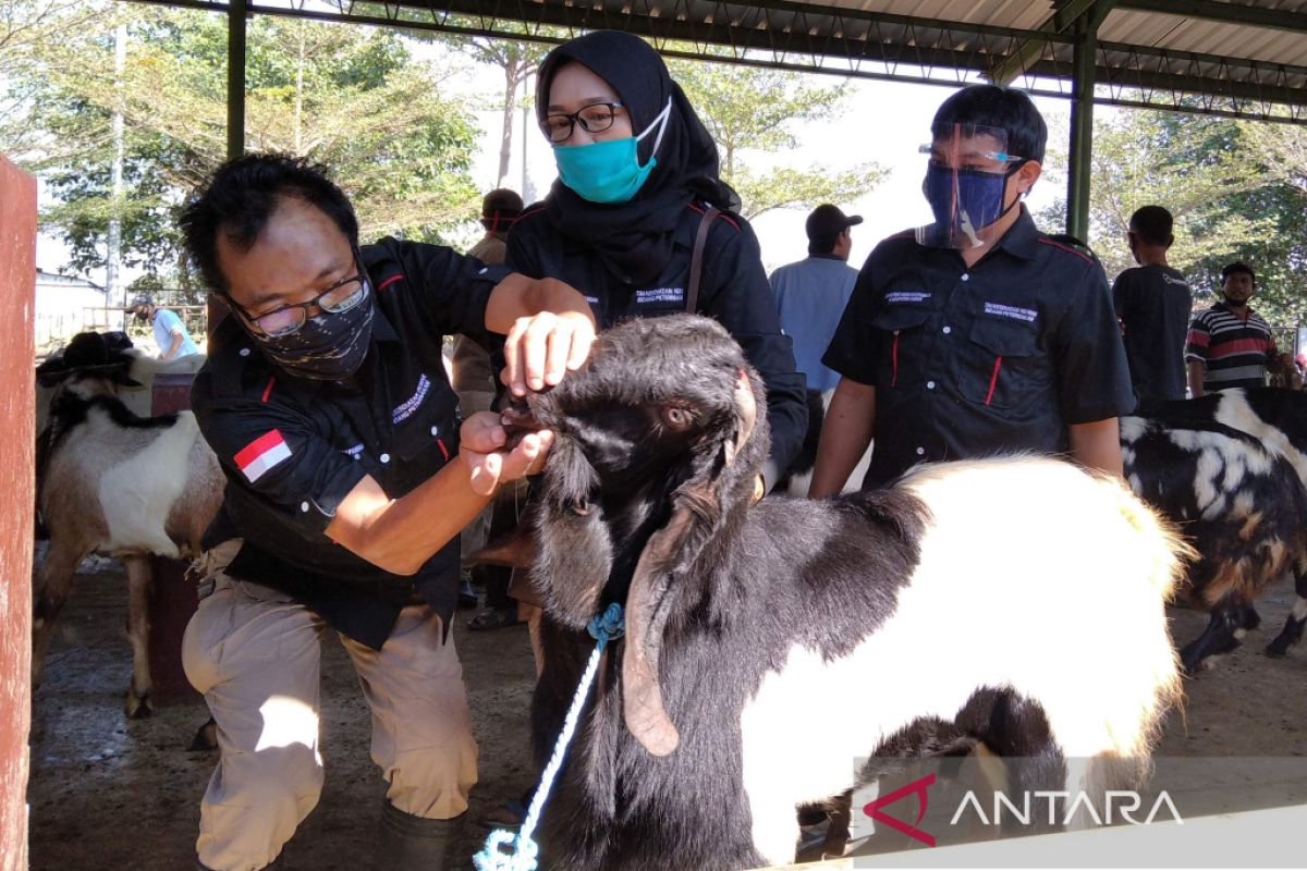 Kudus perketat pengawasan lalu lintas ternak