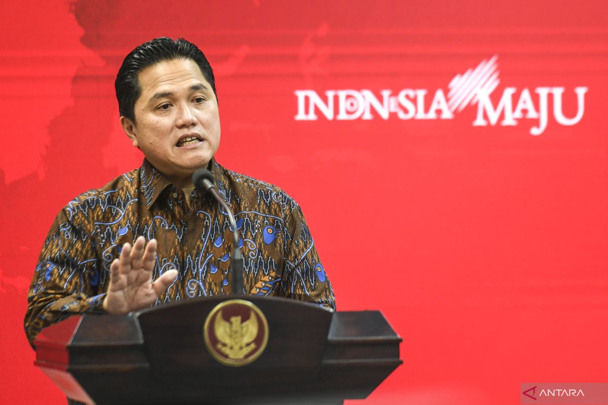 Pengamat nilai Erick Thohir sebagai cawapres kunci kemenangan