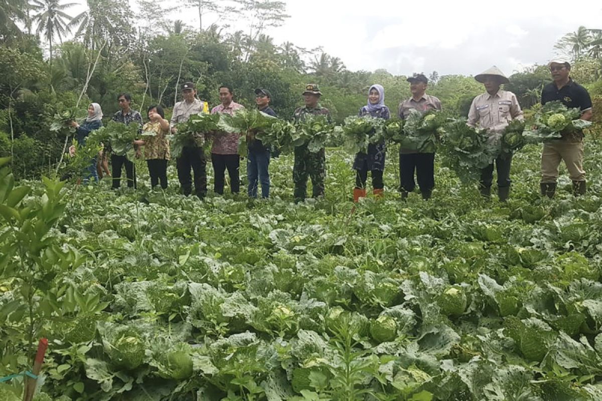 Peneliti: Pembangunan infrastruktur perlu diarahkan untuk capai ketahanan pangan