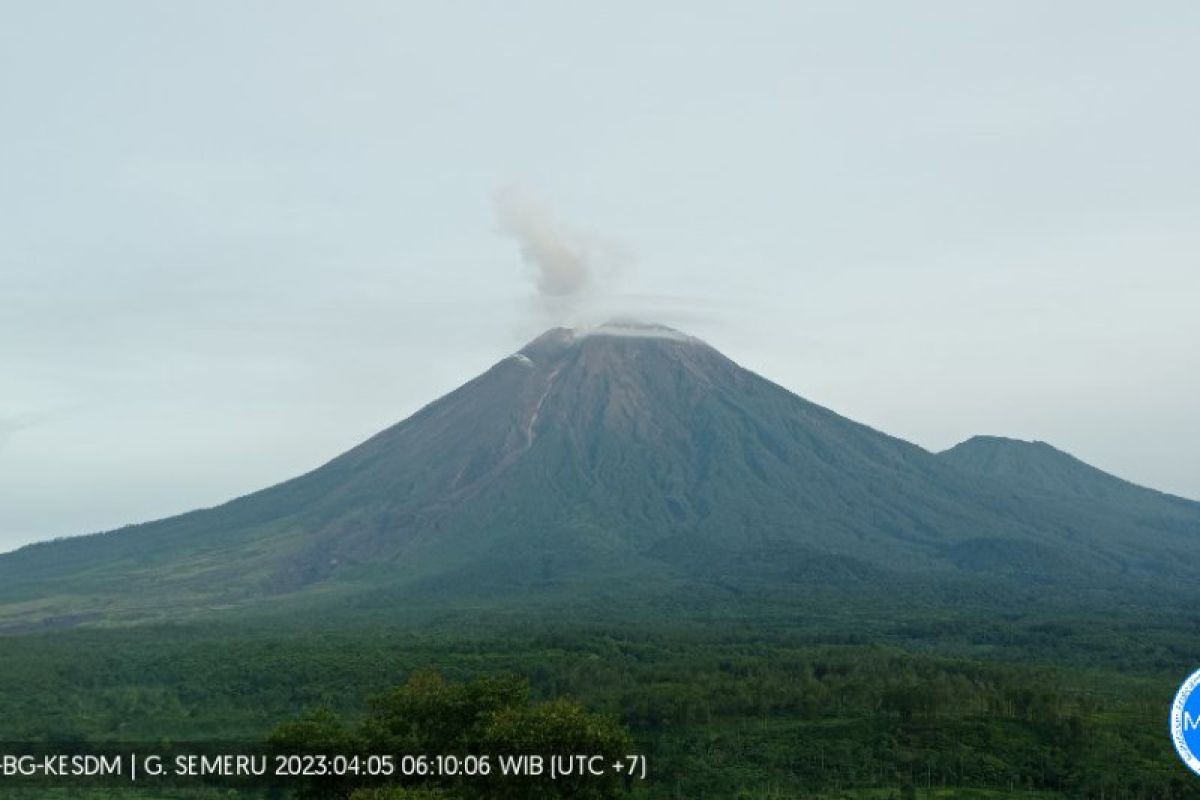 Gunung Semeru mengalami 14 kali gempa letusan pada Rabu