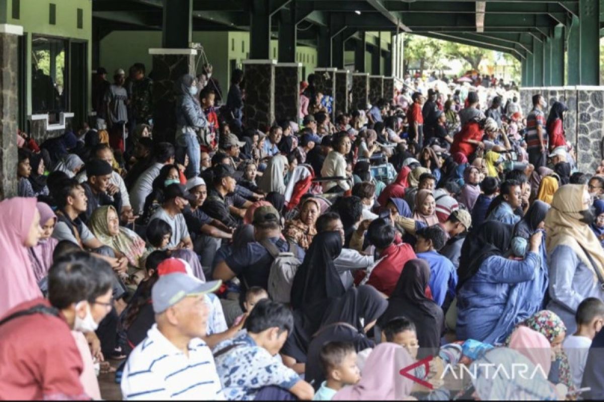 Kemenkes mewajibkan penyedia jasa pengobatan tradisional miliki STPT