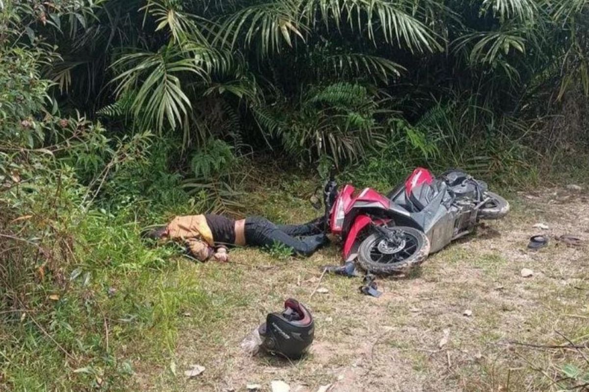 Dua pria terkapar di tepi Danau Buatan Pekanbaru, satu tewas