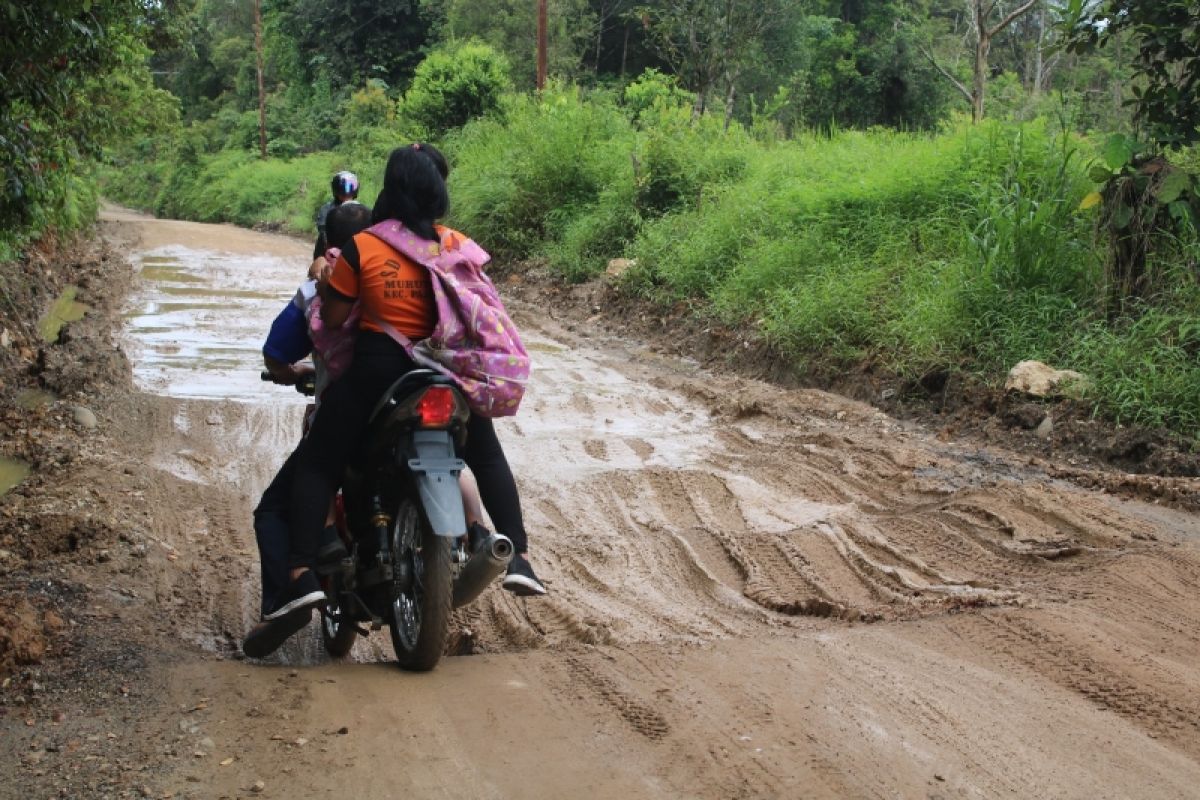 Bupati Bartim sebut Jalan Murutuwu rusak akibat truk melebihi kapasitas