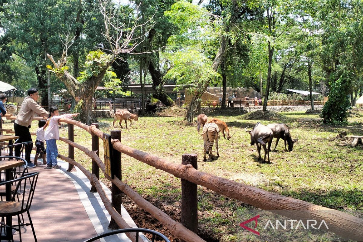 Ada lowongan Perumda Taman Satwa Taru Jurug Solo