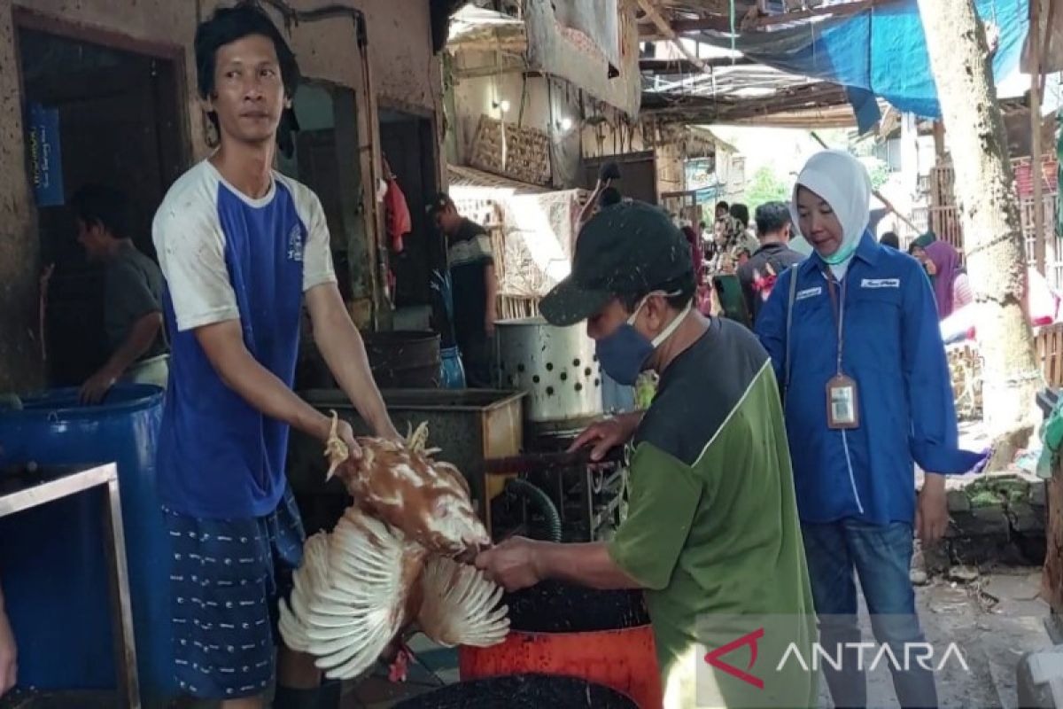 Pemkot Pekalongan awasi pemotongan hewan unggas